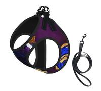 Agate Abstract Purple, Blue, Gold,Pet Harness,Adjustable Reflective Dog Harness,Pet Leash Vest,L