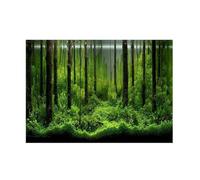 Agatige Aquarium Decor Background, PVC Self Adhesive Fish Tank Wallpaper Underwater Forest Backdrop Reptile Terrarium Background for Aquarium Fish Tank (122 * 46cm)
