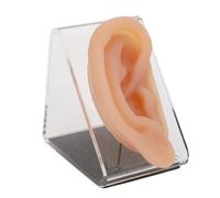 Agatige Silicone Ear Model, Soft Flexible Human Ear Display Model Acupuncture Ear Piercing Practice Tool Silicone Body Parts with Display Stand Ear Acupuncture Model for Piercing Display