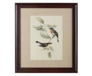 agatiyo framed birds 2 wall art in multi coloured