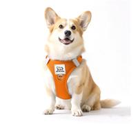 AGBWBN Wrap-Around Breathable Dog Undershirt, Refreshing and Non-Stringy, with Two Leash Loops, Four Reflective Straps,(Orange,L)