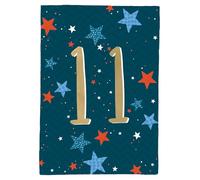 Age 11 Birthday Boy 11th Eleven-Tastic! Contemporary Birthday Card