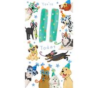Age 11 Male 11th Birthday Card Dogs 9" x 5" Lovely Verse
