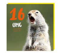 Age 16 (16th) Birthday card from Tracks Publishing - funny card with a Groundhog - For Him / Her