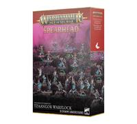 Games Workshop Warhammer Age Of Sigmar Spearhead: Tzaangor Warflock 70-839