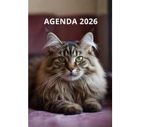 AGENDA 2026 - CHAT: Petit format de poche | 4 langues | Janvier à Décembre 2026 | 52 semaines | 1 semaine sur 2 pages | Format pratique 10x15 cm, 115 pages | Fantaisie, original | Cadeau à offrir