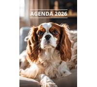 AGENDA 2026 - CHIEN: Petit format de poche | 4 langues | Janvier à Décembre 2026 | 52 semaines | 1 semaine sur 2 pages | Format pratique 10x15 cm, 115 pages | Fantaisie, original | Cadeau à offrir