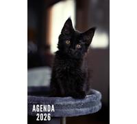 Agenda 2026: Gatto Nero - Settimanale e Mensile da Gennaio a Dicembre 2026 | 12 Mesi | Ideale per Studenti, Professionisti e Individui | Calendario, ... Contatti, Appunti - Formato Tascabile Piccolo