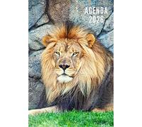 Agenda 2026: Lion - Semainier et Mensuel de Janvier à Décembre 2026 | 12 Mois | Idéal pour Les Étudiants, Professionnels et Particuliers | Calendrier, Liste de Contacts, Notes