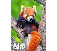 Agenda Escolar 2025 2026: Panda Rojo - Para Niños, Niñas, Estudiantes, Primaria, Secundaria, Universitario | Con Calendario, Horario, Fecha Para Recordar y Más