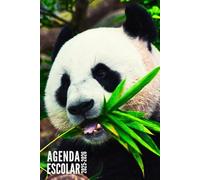 Agenda Escolar 2025 2026: Panda - Semanal Para Niños, Niñas, Primaria, Secundaria, Universitario, Adolescentes | Septiembre 2025 - Agosto 2026
