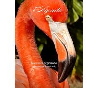 Agenda planificadora flamenco: Organiza tu año con metas mensuales, hábitos positivos y espacio para notas