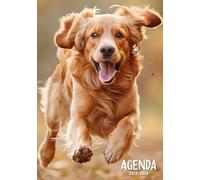 Agenda scolaire 2025 2026 Chien Golden Retriever: Organisateur et Planificateur Journalier | 2 Jours Par Page | Garçon, Fille