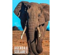 Agenda Scolaire 2025 2026: Elephant - Journalier Pour Filles et Garçons en Primaire, collège et lycée | De Septembre 2025 à Juillet 2026