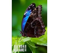 Agenda Scolaire 2025 2026: Papillon - Journalier Pour Filles et Garçons en Primaire, collège et lycée | De Septembre 2025 à Juillet 2026