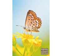 Agenda scolaire 2025 2026 Papillon: Organisateur Scolaire , Une semaine sur 2 pages , Primaire, Collège, Lycée pour Fille et Garçon , Enfant , Adulte