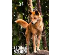 Agenda Scolaire 2025 2026: Renard - Pour Filles, Garçons, Étudiants en Primaire, Collège et Lycée | De Septembre 2025 à Août 2026
