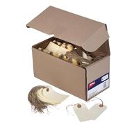 Agipa 121364 University Salplaner, 100 x 51 mm
