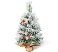 AGM 2ft Mini Christmas Tree, Frosted Tabletop Xmas Tree with Pine Cones