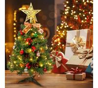 AGM Mini Christmas Tree 2ft, 60cm Prelit Tabletop Christmas Tree with Tree Topper Star and Tree Skirt, for Christmas Home Kitchen Dining Table Decor