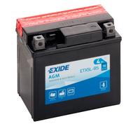 Exide Etx5l-bs Agm Battery Clear unisex