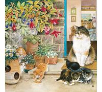 Agneatha and her Kittens on the Doorstep