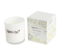 Agnes And Cat Fresh Citrus Soy Votive Candle