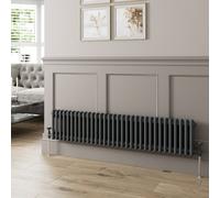 Agnite Traditional Colosseum Horizontal Double Bar Column Radiator 300X1460 Anthracite