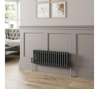Agnite Traditional Colosseum Horizontal Double Bar Column Radiator 300X830 Anthracite