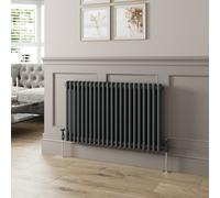 Agnite Traditional Colosseum Horizontal Double Bar Column Radiator 600X1010 Anthracite