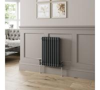 Agnite Traditional Colosseum Horizontal Double Bar Column Radiator 600X425mm Anthracite