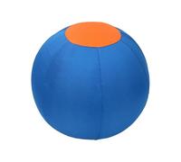 Agoky Herding Ball For Dogs And Horses Jolly Ball Agility Training Pet Toys With Pump Inflation Tool Blue One Size