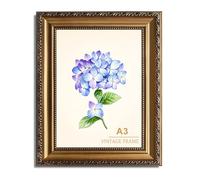 AGOLNE A3 Gold Frame,A3 Picture Frame Gold,Vintage Photo Frame