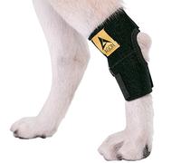 AGON® Dog Canine Rear Hock Joint Brace Compression Wrap with Straps Dog for Back Leg Protects Wounds. Heals Prevents Injuries and Sprains Helps with Loss of Stability Caused by Arthritis (Small)