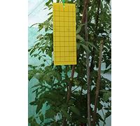 Agralan Heavy Duty Large Fruit Flies Traps Yellow Fly Whitefly Paper Sticky Catcher - Non-Toxic and Eco-Friendly Suitable For Multiple Insect (7)