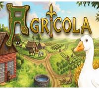 Agricola - The King's Farmer PC Steam CD Key