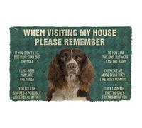 Agriism Door Mat Indoor Entrance Please Remember English Springer Spaniel Dogs House Rules Doormat Personalized Gifts Home Decor Housewarming Decor 24x16 Inch