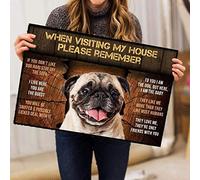 Agriism Door Mat Indoor Entrance Porch Welcome Funny Flannel Floor Mat Crash Wood Wall Doormat Home Decor Pug Dog When Visiting My House Home Decor Housewarming Decor 24x16 Inch