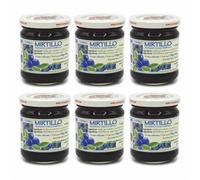 Agritur - Organic Wild Blueberry Preserve, No Added Sugar, Only Fruit Sugars, Natural, Ideal for Breakfast/Snacks, Perfect as a Dessert Topping, Pack of 6×210g