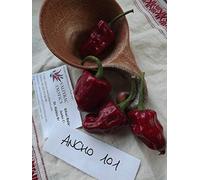AGROBITS Ancho 101 Cli 10+ See