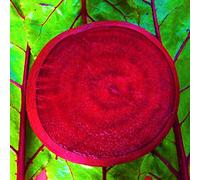 AGROBITS BEROOT - BOLTARDY - 100[More Resistance to Bolting from Early ings]