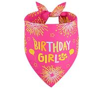 Agroon Dog Birthday Bandana Girl Pink Small 1PCS, Durable Triangle Reversible Scarf Bibs Handkerchief for Puppy Pet