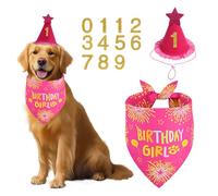 Agroon Dog Birthday Party Supplies, Rose Pink Dog Birthday Set with Hat Bandana Numbers for XLarge Large Girl Pets Puppy