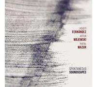 Agusti Fernandez - Spontaneous Soundscapes