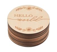 Agwuoetr 14Pcs Wooden Baby Monthly, Baby Milestone Discs for Photo Props