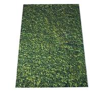 Agwuoetr 5x7ft(150x210cm) Nature Green Grass Backdrops Photography Wedding or Children Birthday Background