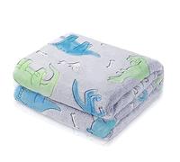 Agwuoetr Dinosaur Blanket for, Glow in the Dark Blanket for Kids, Toddler Blanket for, Dinosaur Gifts for/Kids(A) High Guality