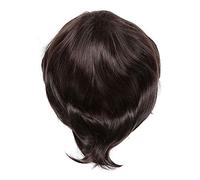 Agwuoetr Fashion men's wig short straight high temperature silk Synthetic wig full wigs/artistic men Brown black wigs for men