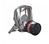 Agwuoetr Gas Masks Survival Nuclear and Chemical, Gas Mask with 40mm Activated Carbon Filter, Full Face Respirator Mask