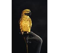 Agwuoetr GF-09 Mini GPS Tracker for Cars Anti Lost Positioning Device RealTime Tracking Record SIM Locator Wifi Automotive Accessories